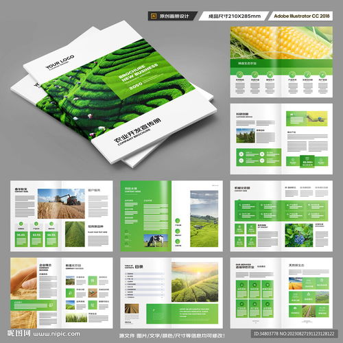农产品宣传册设计图与广告设计策略